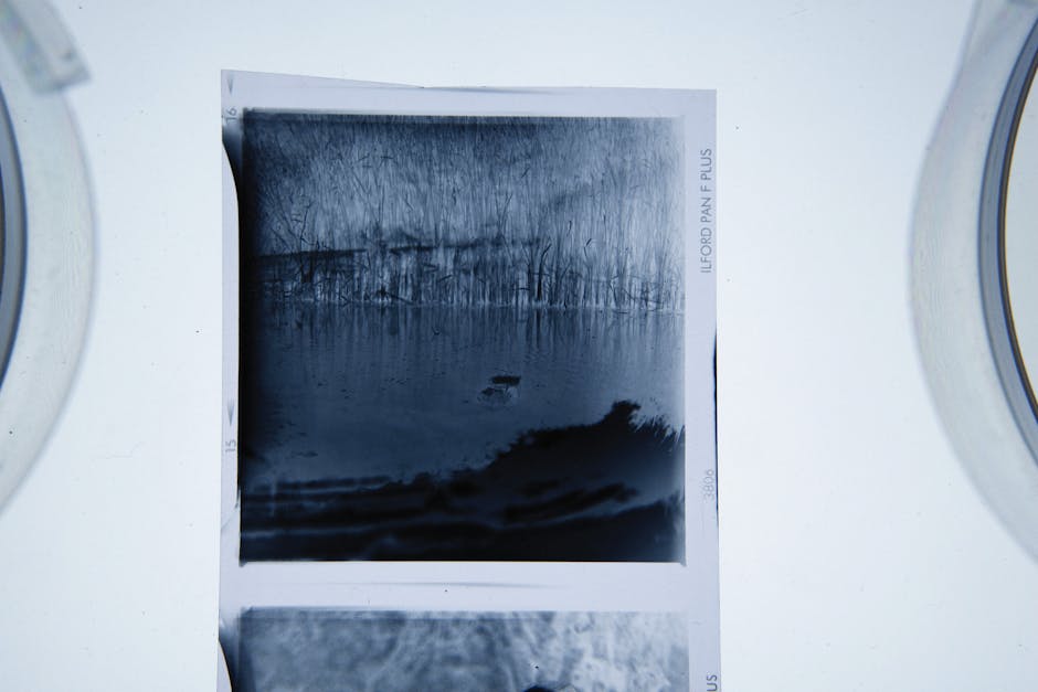 A black and white photograph of a serene lake scene with a small boat floating on calm water, surrounded by leafless trees and dense foliage in the background. The photo is placed on a white surface, with parts of a washing machine or dryer visible on either side and above, suggesting the image is being loaded or packed for a home relocation. The photograph appears to be a paper print with visible edges and a white border, and it is inside a cardboard frame or protective sleeve. The setting indicates the process of moving or packing items for a house move, typical of house removals and logistics handled by companies like Removal Company Ilford, especially when preparing sentimental or decorative items for transport.